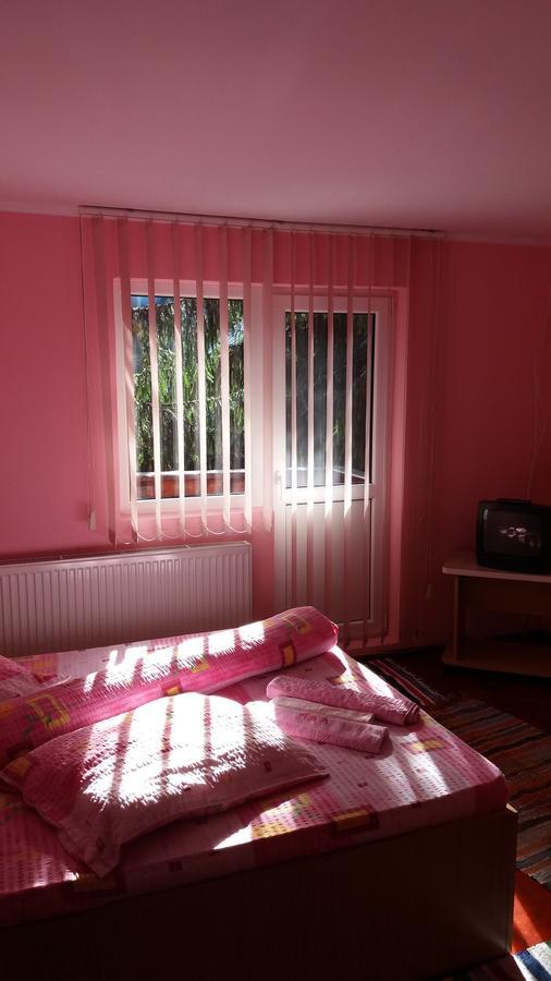 Casa Andreea-Maria Otel Vartop Dış mekan fotoğraf
